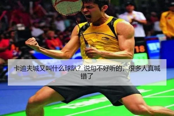 ka-di-fu-cheng-you-jiao-shen-me-qiu-dui-shuo-ju-bu-hao-ting-de-hen-duo-ren-zhen-han-cuo-le-1-738.jpg