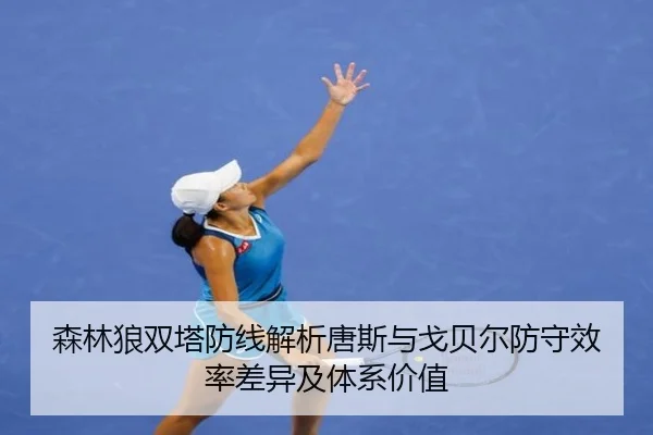 森林狼双塔防线解析唐斯与戈贝尔防守效率差异及体系价值